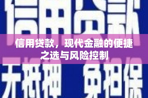 滦南信用贷款，现代金融的便捷之选与风险控制