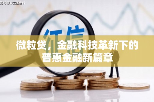 滦南微粒贷，金融科技革新下的普惠金融新篇章