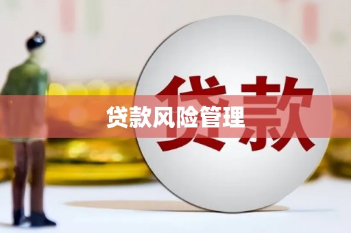 滦南贷款风险管理