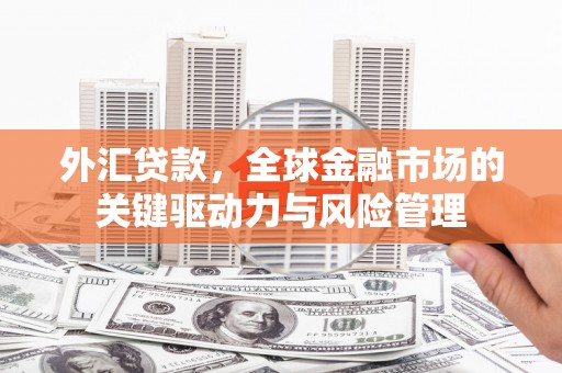 滦南外汇贷款，全球金融市场的关键驱动力与风险管理