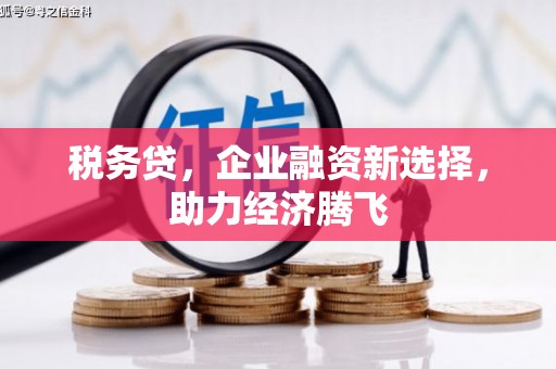 滦南税务贷，企业融资新选择，助力经济腾飞