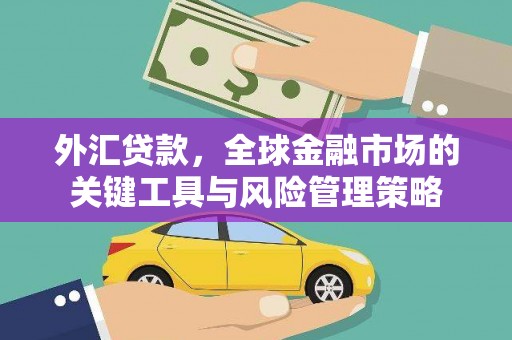 滦南外汇贷款，全球金融市场的关键工具与风险管理策略