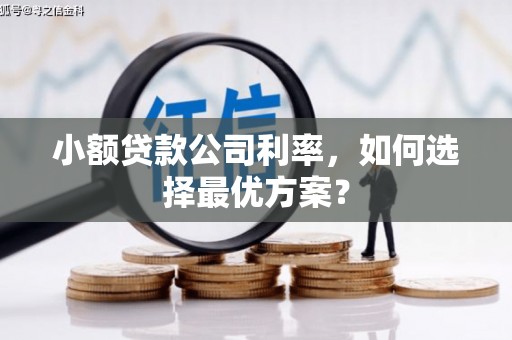 滦南小额贷款公司利率，如何选择最优方案？