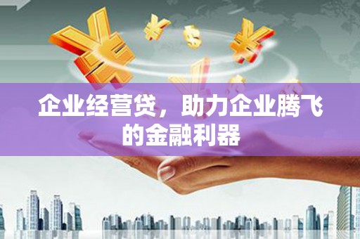 滦南企业经营贷，助力企业腾飞的金融利器
