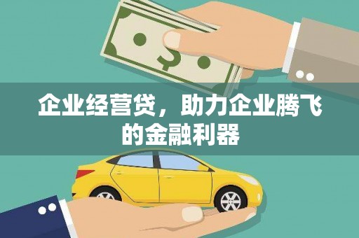 滦南企业经营贷，助力企业腾飞的金融利器