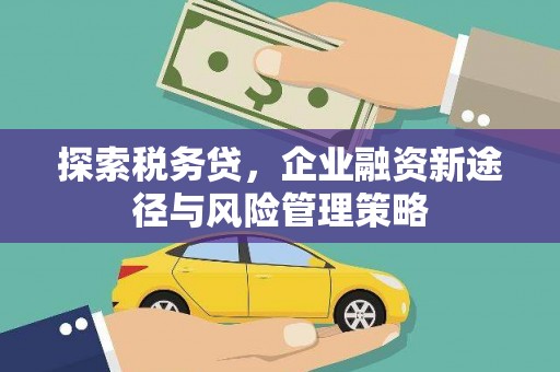 滦南探索税务贷，企业融资新途径与风险管理策略