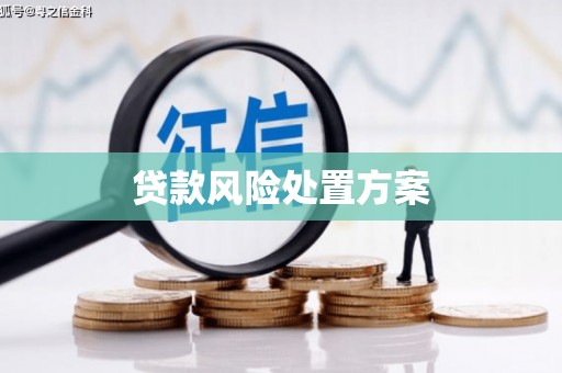 滦南贷款风险处置方案