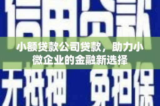 滦南小额贷款公司贷款，助力小微企业的金融新选择