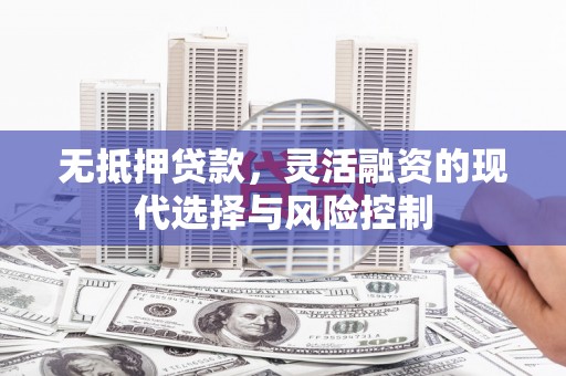 滦南无抵押贷款，灵活融资的现代选择与风险控制