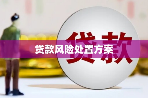滦南贷款风险处置方案