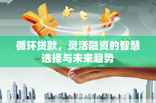 滦南循环贷款，灵活融资的智慧选择与未来趋势