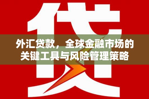 滦南外汇贷款，全球金融市场的关键工具与风险管理策略