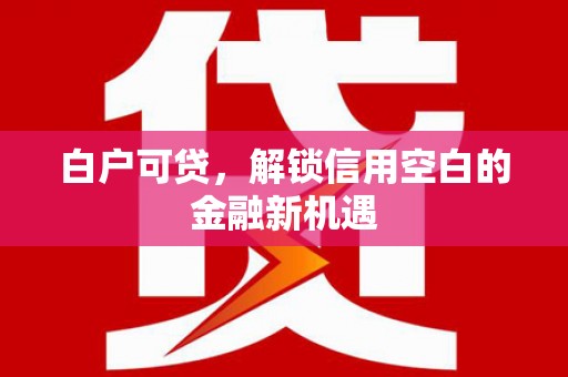 滦南白户可贷，解锁信用空白的金融新机遇