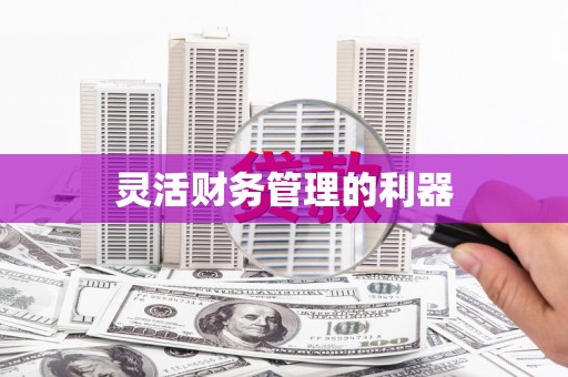 滦南灵活财务管理的利器