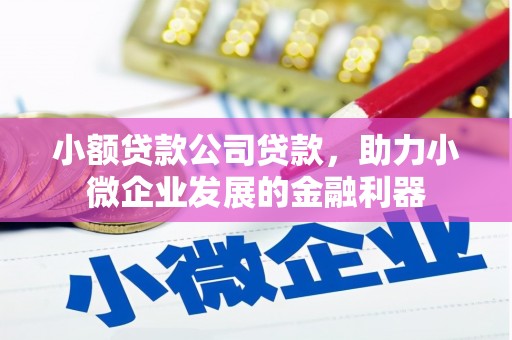 滦南小额贷款公司贷款，助力小微企业发展的金融利器