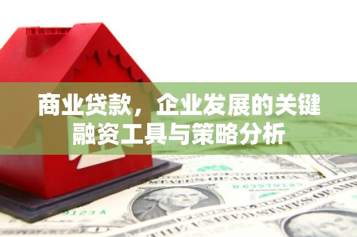 滦南商业贷款，企业发展的关键融资工具与策略分析