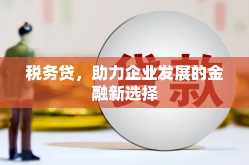 滦南税务贷，助力企业发展的金融新选择
