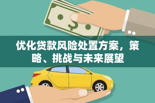 滦南优化贷款风险处置方案，策略、挑战与未来展望