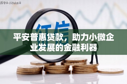 滦南平安普惠贷款，助力小微企业发展的金融利器
