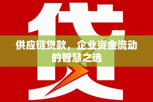 滦南供应链贷款，企业资金流动的智慧之选