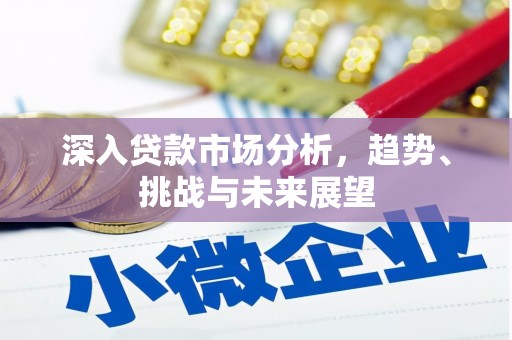 滦南深入贷款市场分析，趋势、挑战与未来展望