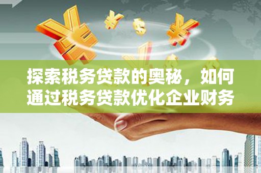 滦南探索税务贷款的奥秘，如何通过税务贷款优化企业财务