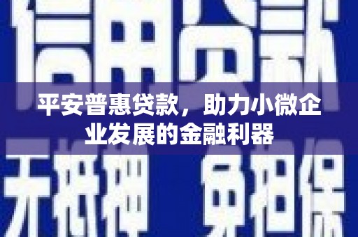 滦南平安普惠贷款，助力小微企业发展的金融利器