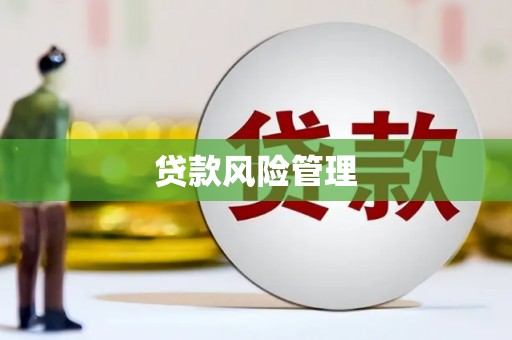 滦南贷款风险管理