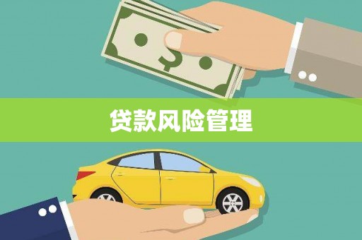 滦南贷款风险管理