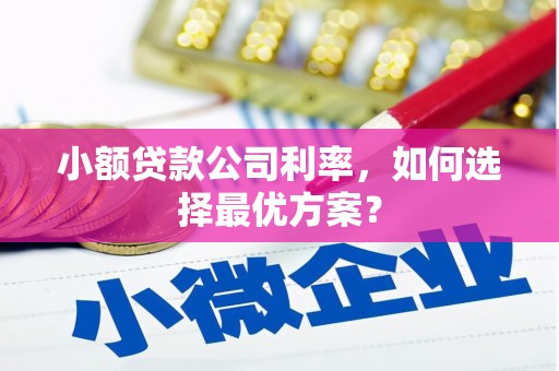 滦南小额贷款公司利率，如何选择最优方案？