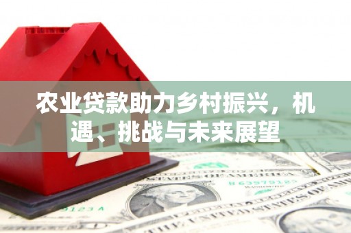滦南农业贷款助力乡村振兴，机遇、挑战与未来展望