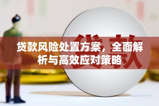 滦南贷款风险处置方案，全面解析与高效应对策略