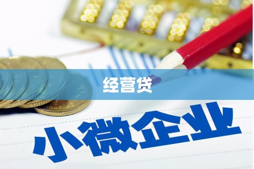 滦南经营贷