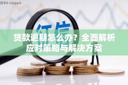 滦南贷款逾期怎么办？全面解析应对策略与解决方案
