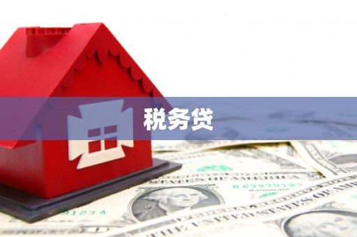 滦南税务贷