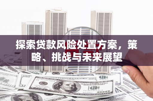 滦南探索贷款风险处置方案，策略、挑战与未来展望