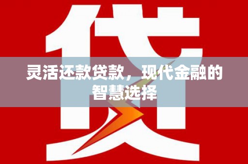 滦南灵活还款贷款，现代金融的智慧选择