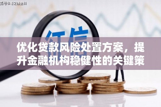 滦南优化贷款风险处置方案，提升金融机构稳健性的关键策略