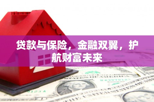 滦南贷款与保险，金融双翼，护航财富未来