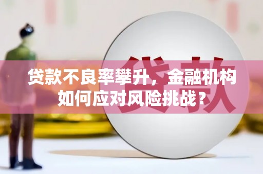 滦南贷款不良率攀升，金融机构如何应对风险挑战？
