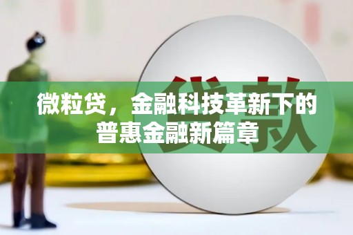 滦南微粒贷，金融科技革新下的普惠金融新篇章