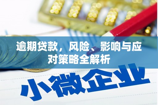 滦南逾期贷款，风险、影响与应对策略全解析