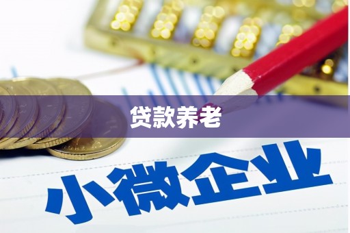 滦南贷款养老