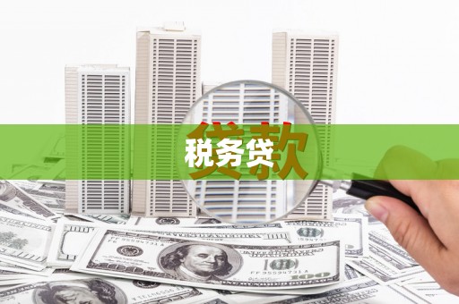 滦南税务贷