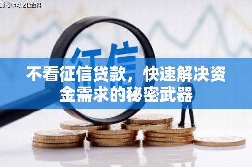 滦南不看征信贷款，快速解决资金需求的秘密武器