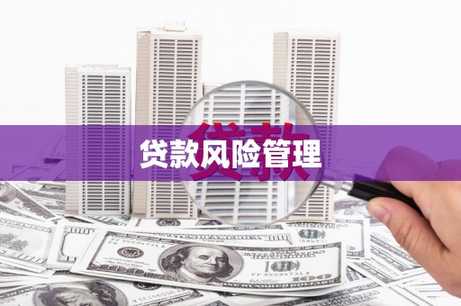 滦南贷款风险管理