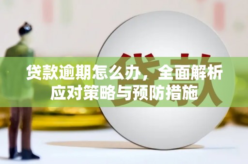 滦南贷款逾期怎么办，全面解析应对策略与预防措施