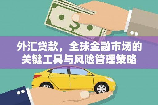 滦南外汇贷款，全球金融市场的关键工具与风险管理策略