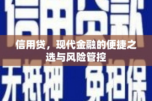 滦南信用贷，现代金融的便捷之选与风险管控