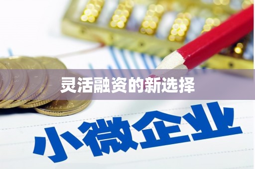滦南灵活融资的新选择